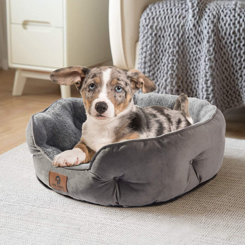 Mini dog bed top
